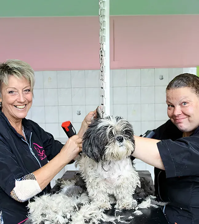 Toiletteuse avec un chien